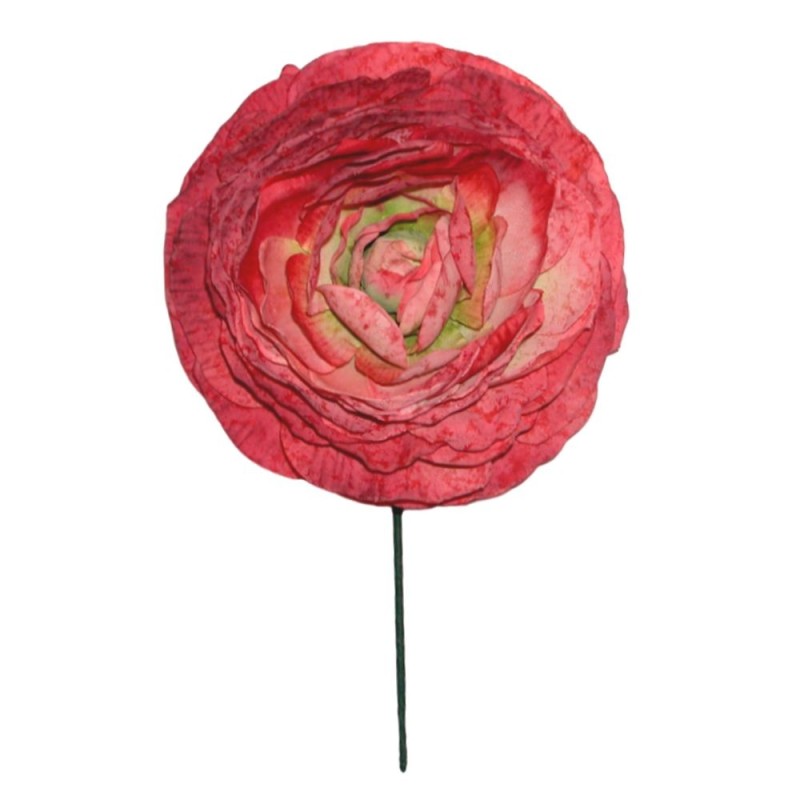 FLOR FLAMENCA FLOR FLAMENCA