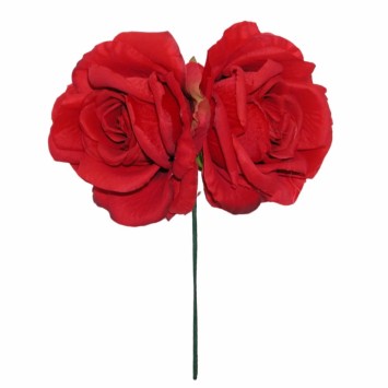 FLOR FLAMENCA DOS ROSAS