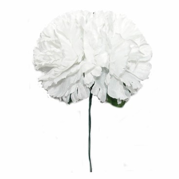 FLOR FLAMENCA X 2 CLAVELES