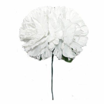 FLOR FLAMENCA X 2 CLAVELES