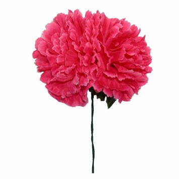 FLOR FLAMENCA X 2 CLAVELES