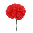 FLOR FLAMENCA X 2 CLAVELES FLOR FLAMENCA X 2 CLAVELES