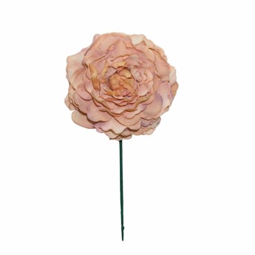 FLOR PEONIA MEDIANA
