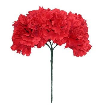 RAMO CUATRO CLAVELES